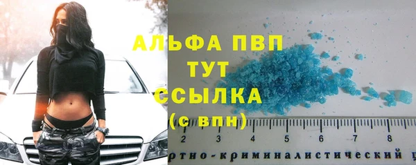 Альфа ПВП Магадан