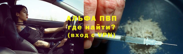 ECSTASY Майский