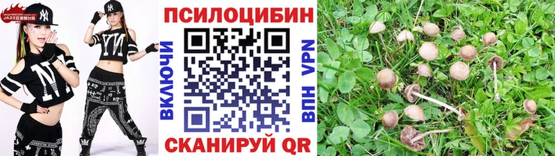 Псилоцибиновые грибы ЛСД  хочу наркоту  Стерлитамак 